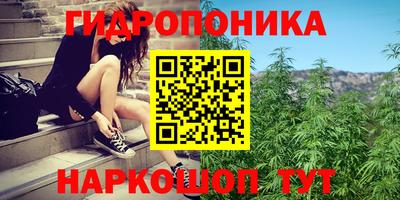 трава Лесосибирск