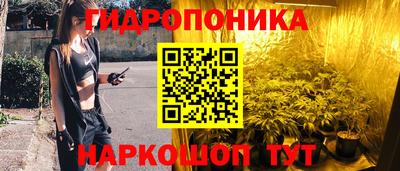 трава Лесосибирск
