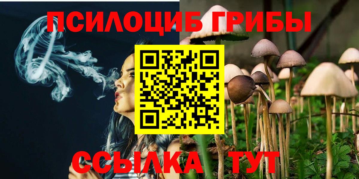 Галлюциногенные грибы Psilocybe Армавир